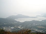 Thumbnail of PC032519.JPG