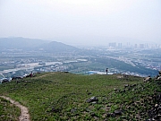 Thumbnail of Pic_Tommy_Chu_02.JPG