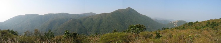 pic_HoSiuKit_25.jpg (107967 bytes)