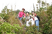 Thumbnail of IMG_7186.JPG