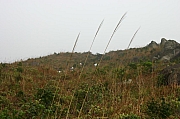 Thumbnail of IMG_7192.JPG