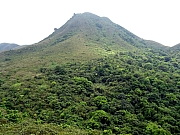 Thumbnail of P4220066.JPG