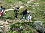 Thumbnail of P4290085.JPG