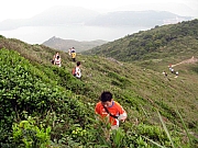 Thumbnail of P4290102.JPG