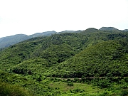 Thumbnail of P5060005.JPG