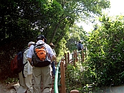 Thumbnail of PIC_HoSiuKit_01.JPG