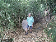 Thumbnail of YH_Chow_21.JPG