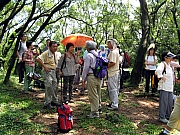 Thumbnail of P7290016.JPG
