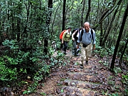 Thumbnail of P8120002.JPG
