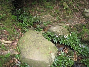 Thumbnail of pic_HoSiuKit_33.JPG