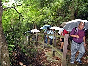 Thumbnail of P9230016.JPG