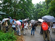 Thumbnail of Pic_PK_Leung_02.JPG