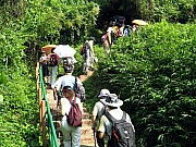 Thumbnail of PA070003.JPG