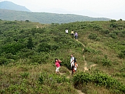 Thumbnail of PA140029.JPG