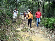 Thumbnail of PA140077.JPG