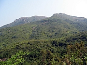 PA210019.JPG (196108 bytes)