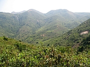 PA210051.JPG (216226 bytes)