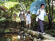 PA210056.JPG (259721 bytes)