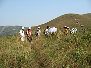 PA210062.JPG (222150 bytes)