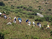 PA210070.JPG (297432 bytes)