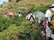 PA210080.JPG (302526 bytes)