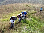 PA210082.JPG (294938 bytes)