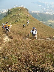 PA210111.JPG (279175 bytes)