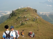 PA210114.JPG (179234 bytes)