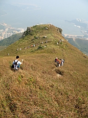 PA210115.JPG (219714 bytes)