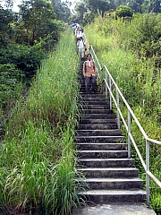 PA210136.JPG (317668 bytes)