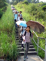 PA210140.JPG (296140 bytes)