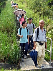 PA210141.JPG (285053 bytes)