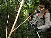 Thumbnail of PA280042.JPG