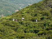 Thumbnail of PIC_PK_Leung_36.JPG