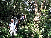 Thumbnail of PB110076.JPG