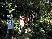 Thumbnail of PB110077.JPG