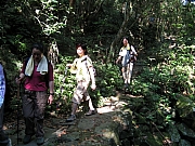 Thumbnail of PB110079.JPG