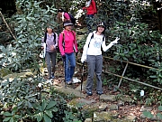 Thumbnail of PB110097.JPG