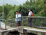 Thumbnail of PIC_HoSiuKit_86.JPG