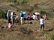 Thumbnail of PB250096.JPG