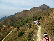 Thumbnail of PB250143.JPG