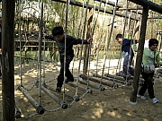 Thumbnail of PC250091.JPG