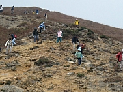 Thumbnail of pic_HoSitKit_21.JPG