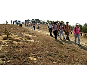 Thumbnail of P2170031.JPG
