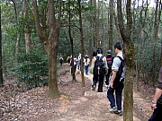 Thumbnail of P2170040.JPG