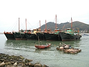 Thumbnail of P2240041.JPG