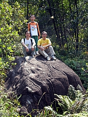 Thumbnail of P3020103.JPG