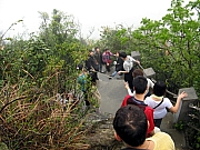 Thumbnail of P3230044.JPG