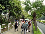 Thumbnail of P3300001.JPG
