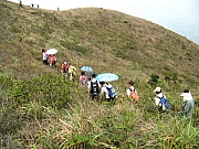 Thumbnail of P3300089.JPG